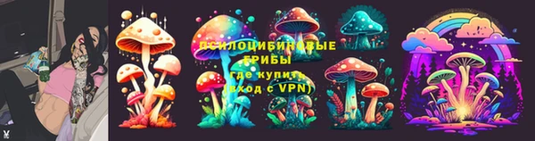 гидропоника Балабаново