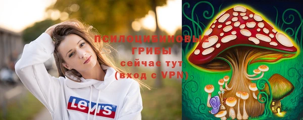 гидропоника Балабаново