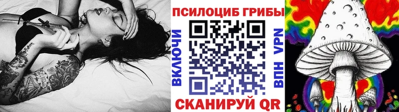 ссылка на мегу как зайти  где купить наркоту  Боготол  Галлюциногенные грибы MAGIC MUSHROOMS 